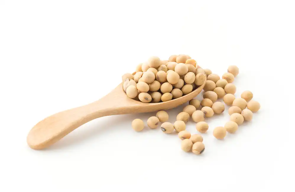 Analysing Japan's Proposed Soybean and Rice Imports in U.S. Trade Negotiations  