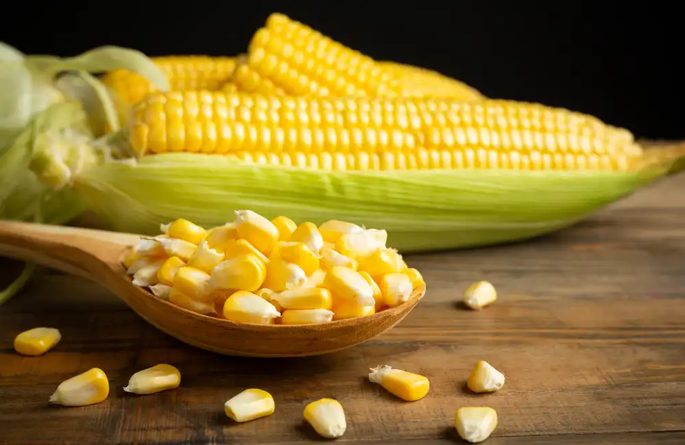 Corn Futures Surge: Unpacking the 5% Rally Amid U.S. Supply Cuts and Global Trade Tensions  