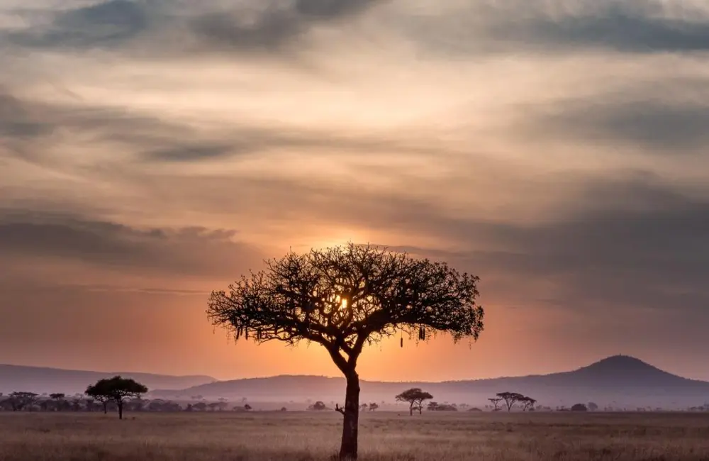Energy Transition Represents 'Era Defining Opportunity' For Africa: Anglo CEO