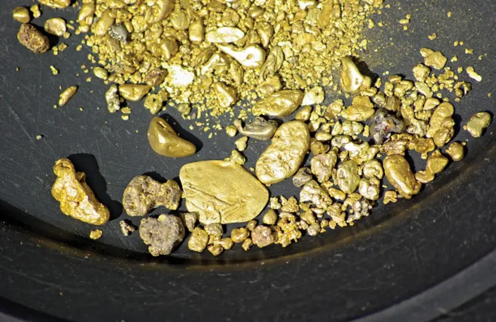 Gold’s Journey Through 2024
