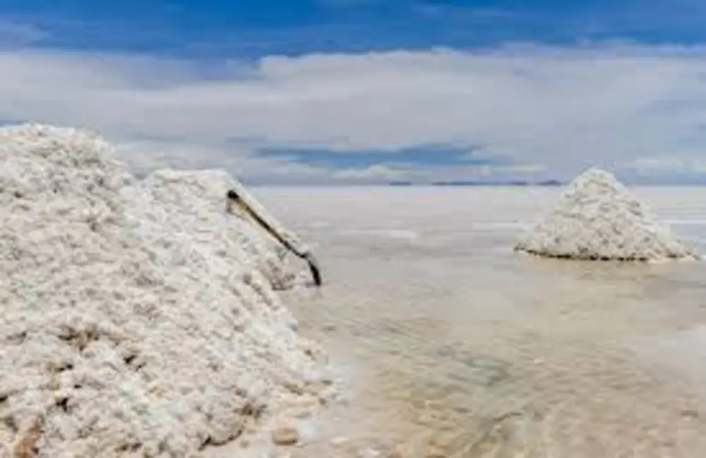 Lithium Set For Correction Amid Supply Growth In Recessionary Climate: Ft Event Participants