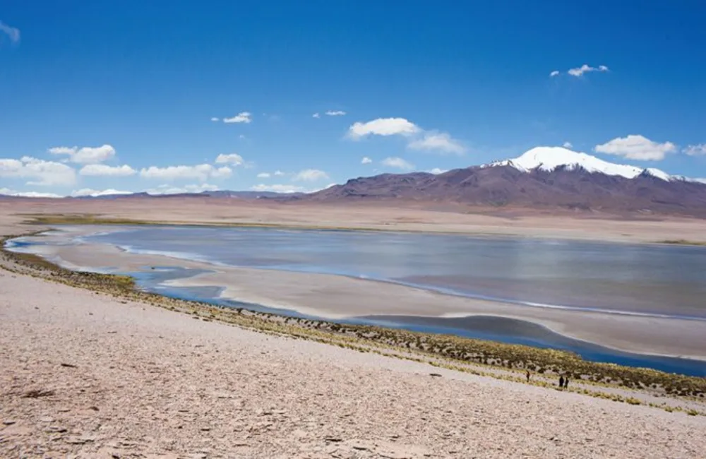 Russia No Longer Receives Lithium Carbonate From Chile, Argentina: Ministry