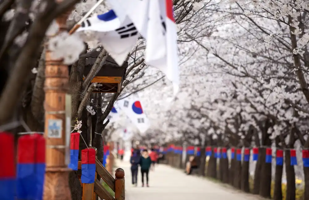 South Korea’s Export Growth Driven by Rising Global Chip Demand  