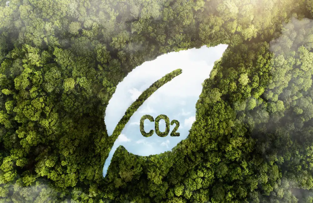 UK Aligns with EU Carbon Levies, Risks US Trade Tensions